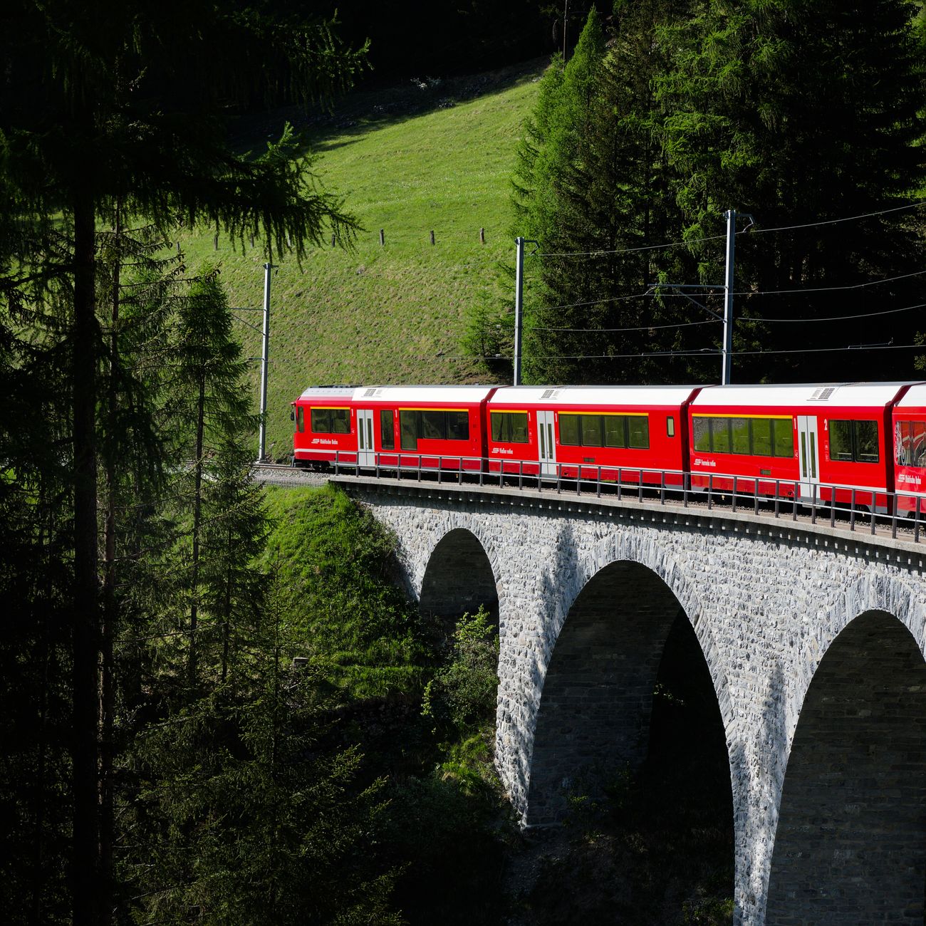 Panoramic Swiss train on mountain viaduct